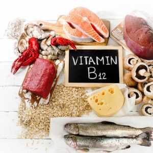 fish and meat around a sign that says "b12"