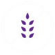 Allergen Free
